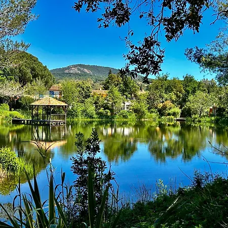 Les Restanques 2058 Rez De Jardin *